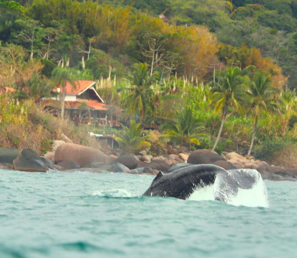 Villa Sol-Lua Bangalo Com Uso Exclusivo Da Piscina Ilhabela Esterno foto